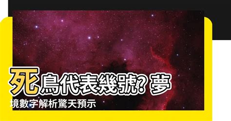 死鳥代表幾號|539鳥是幾號？代表著什麼？一篇帶你找出開獎號碼！